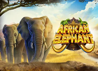 African Elephant - HASEAGAMING