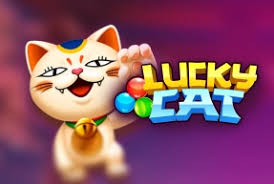 Lucky Cat - HASEAGAMING
